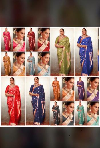 Bipasha Soft Banarasi Silk Saree wholesaler