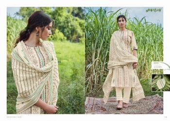 Jay vijay Annoma Salwar kameez wholesaler