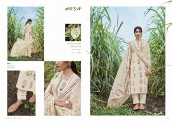 Jay vijay Annoma Salwar kameez wholesaler