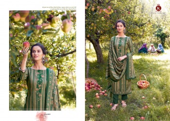 Kala-fashion-Kaatha-pashmina-Winter-Woollen-Salwar-Kameez-2