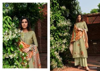 kalki Taqdeer Pashmina WInter Salwar Kameez wholesaler