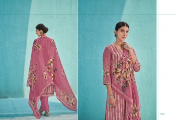 Kimora lakeer Cotton Silk Salwar Kameez Wholesaler