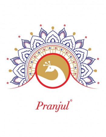 Pranjul Pari vol 2 Kurtis with Palazzo wholesaler