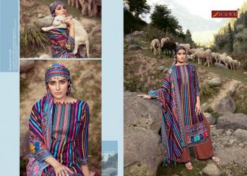 Roli-Moli-Silky-Pashmina-Winter-Salwar-kameez-wholesaler-11