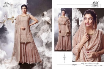 Shivali Nooraniyat Georgette Bridal Salwar Kameez wholesaler