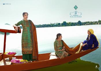 Tanishk-Masq-Pashmina-Winter-Salwar-Kameez-wholesaler-6