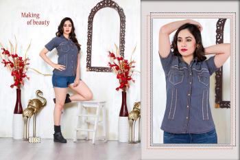 Trendy Fabulous Denim Western Tops wholesaler