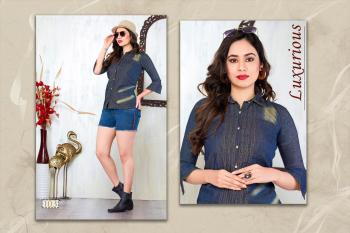 Trendy Fabulous Denim Western Tops wholesaler