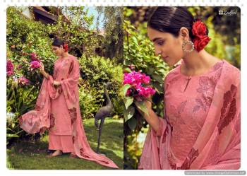 Zulfat Summer Bonanza Cotton salwar kameez Wholesaler