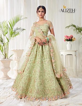 Alizeh Engagement Wedding lehenga Choli Wholesaler