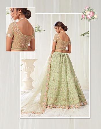 Alizeh Engagement Wedding lehenga Choli Wholesaler