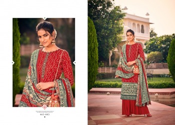 Belliza Designer Aura Pashmina Winter Salwar Kameez wholesaler