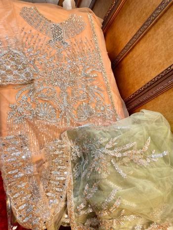 Cosmos-Bridal-Net-work-Pakistani-Suits-hit-design-2