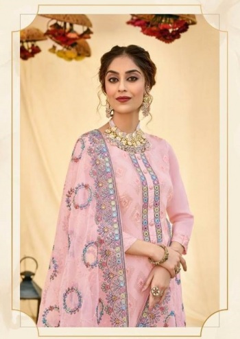 Eba-Lifestyle-Tarruf-Organza-Salwar-Kameez-catalog-wholesaler-5