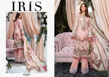 Iris-vol-12-Pakistani-Dress-buy-wholesale-Price-10