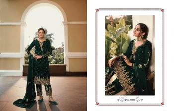 Meera Trendz Zisa vol 65 Georgette Salwar kameez