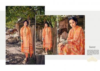 Sanna Habibah Pashmina Winter Woollen Salwar Kameez