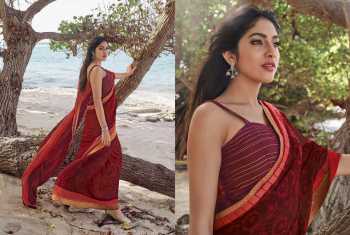 Sanskar jharonka Chiffon Saree wholesaler