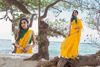 Sanskar jharonka Chiffon Saree wholesaler