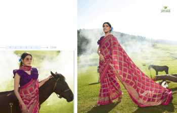 Sanskar Rahi vol 8 Chiffon Brasso Saree wholesalerSanskar Rahi vol 8 Chiffon Brasso Saree wholesaler