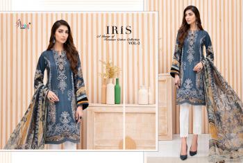 Shree Fab Iris vol 2 pakistani Suits catalog Wholesaler