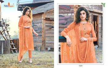 Tuni House Harleen Salwar Kameez wholesaler