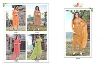 Tuni House Harleen Salwar Kameez wholesaler