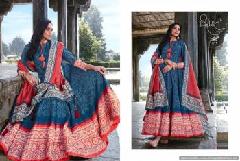 Virasat-Rajgharana-traditional-Occasion-Gown-wholesale-3